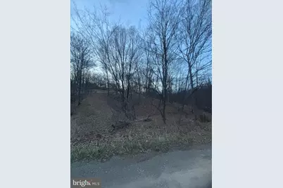 Lost Run, Levels, WV 25431 - Photo 3