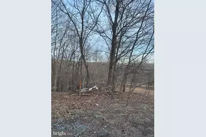 Lost Run, Levels, WV 25431 - Photo 7