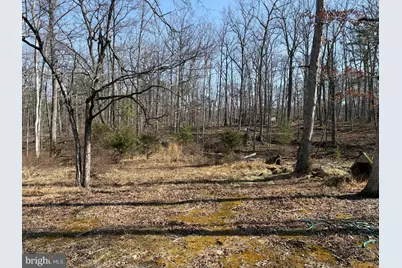 6427 Back Creek Road, High View, WV 26808 - Photo 13