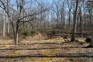 6427 Back Creek Rd, High View, WV 26808 - Photo 13