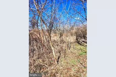 8182 Skyview Dr., Romney, WV 26757 - Photo 31