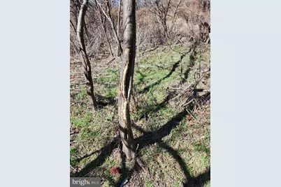 8182 Skyview Dr., Romney, WV 26757 - Photo 51