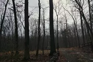 81 Hershel Ln, High View, WV 26808 - Photo 27