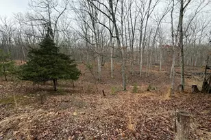 81 Hershel Ln, High View, WV 26808 - Photo 23