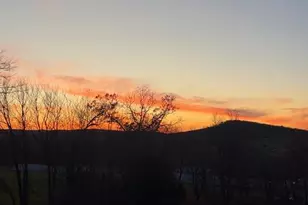 529 Braddock School Rd, Slanesville, WV 25444 - Photo 39