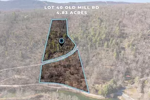 Old Mill, Capon Bridge, WV 26711 - Photo 1