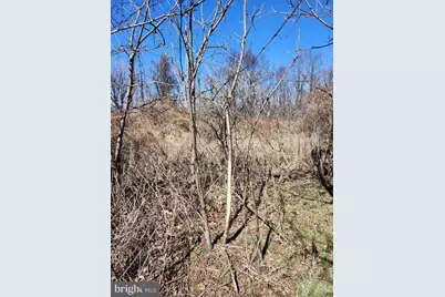 Skyview Dr., Romney, WV 26757 - Photo 15