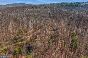 580 Braeburn Dr, Augusta, WV 26704 - Photo 57