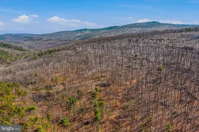 580 Braeburn Drive, Augusta, WV 26704 - Photo 67