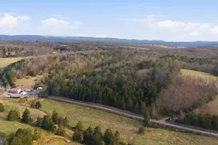 1054 Fleming Rd, Purgitsville, WV 26852 - Photo 47