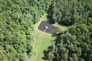 1054 Fleming Rd, Purgitsville, WV 26852 - Photo 41