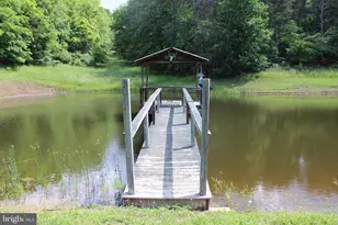 1054 Fleming Rd, Purgitsville, WV 26852 - Photo 43