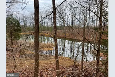 2932 Kerns School Road, Springfield, WV 26763 - Photo 51