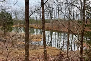 2932 Kerns School Rd, Springfield, WV 26763 - Photo 51