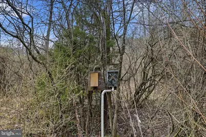 Aa Rogers, Augusta, WV 26704 - Photo 19