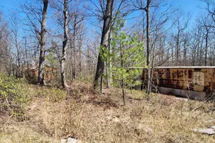 55 Kipps Dr, Augusta, WV 26704 - Photo 19