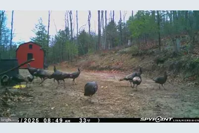 Advent Drive, Augusta, WV 26704 - Photo 67