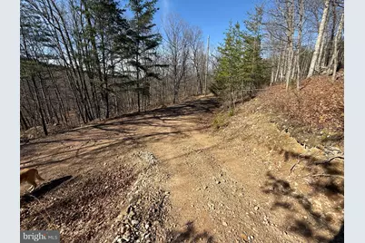 Advent Drive, Augusta, WV 26704 - Photo 43