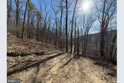 Advent Drive, Augusta, WV 26704 - Photo 47