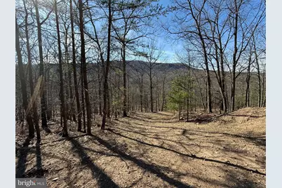 Advent Drive, Augusta, WV 26704 - Photo 49