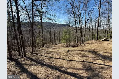 Advent Drive, Augusta, WV 26704 - Photo 51