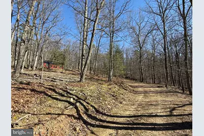 Advent Drive, Augusta, WV 26704 - Photo 45