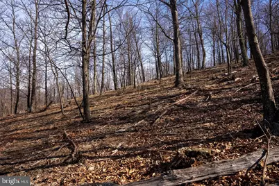 500 Lexington Drive, Romney, WV 26757 - Photo 37