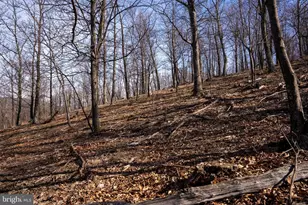 500 Lexington Dr, Romney, WV 26757 - Photo 37