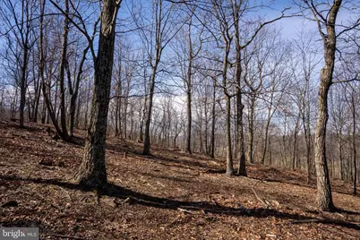 500 Lexington Drive, Romney, WV 26757 - Photo 35