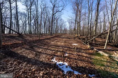 500 Lexington Drive, Romney, WV 26757 - Photo 51