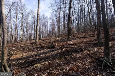 500 Lexington Drive, Romney, WV 26757 - Photo 29