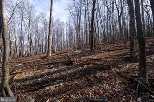 500 Lexington Dr, Romney, WV 26757 - Photo 29