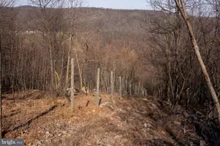 500 Lexington Dr, Romney, WV 26757 - Photo 31