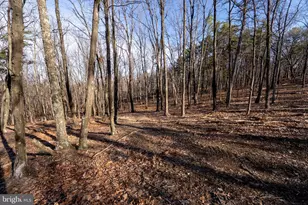 500 Lexington Dr, Romney, WV 26757 - Photo 25