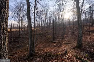 500 Lexington Dr, Romney, WV 26757 - Photo 47