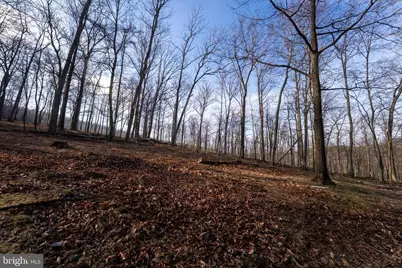 500 Lexington Drive, Romney, WV 26757 - Photo 45