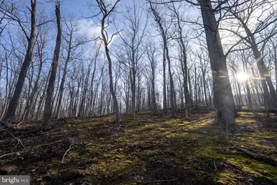 500 Lexington Drive, Romney, WV 26757 - Photo 43