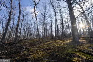 500 Lexington Dr, Romney, WV 26757 - Photo 43