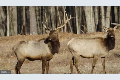 500 Lexington Drive, Romney, WV 26757 - Photo 1