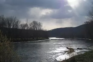 Lots 118 and 126 Graces Cabin Rd, Springfield, WV 26763 - Photo 49