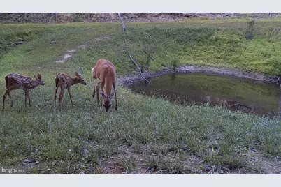 Lots 118 and 126 Graces Cabin Road, Springfield, WV 26763 - Photo 65