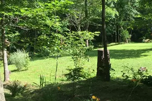 Lots 118 and 126 Graces Cabin Rd, Springfield, WV 26763 - Photo 53