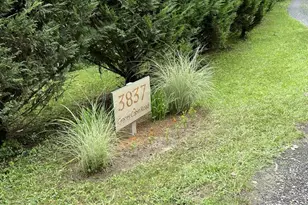 Lots 118 and 126 Graces Cabin Rd, Springfield, WV 26763 - Photo 67