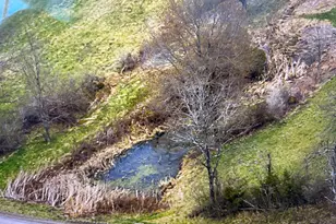 131 Offutt School Rd, Augusta, WV 26704 - Photo 5