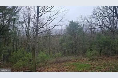 200 Davids Road, Delray, WV 26714 - Photo 7