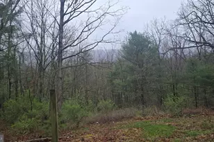 200 David's Rd, Delray, WV 26714 - Photo 7