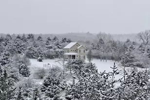 345 Paso Fino Dr, Augusta, WV 26704 - Photo 49