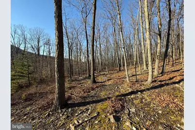 37 Advent Drive, Augusta, WV 26704 - Photo 45