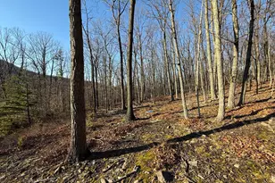 37 Advent Dr, Augusta, WV 26704 - Photo 43