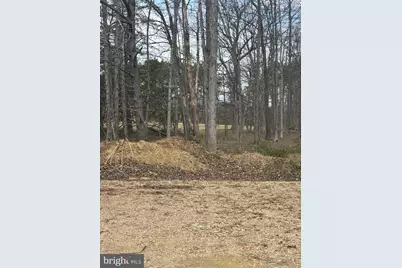 Dillions Run Road, Capon Bridge, WV 26711 - Photo 5